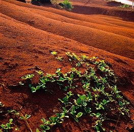 《阿丽莎：双子女神的湮灭》推迟至年末发行